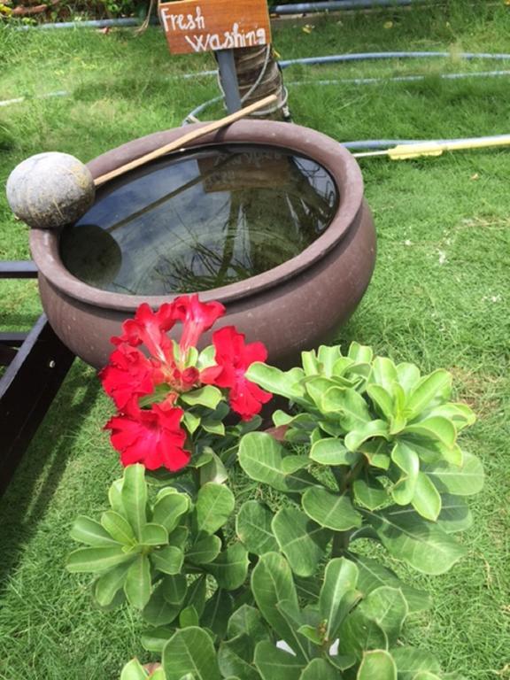 Hoi An Osaka Riverside Villa & Spa Dış mekan fotoğraf